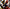 Quadro 3D – Deadpool & Wolverine Tribute