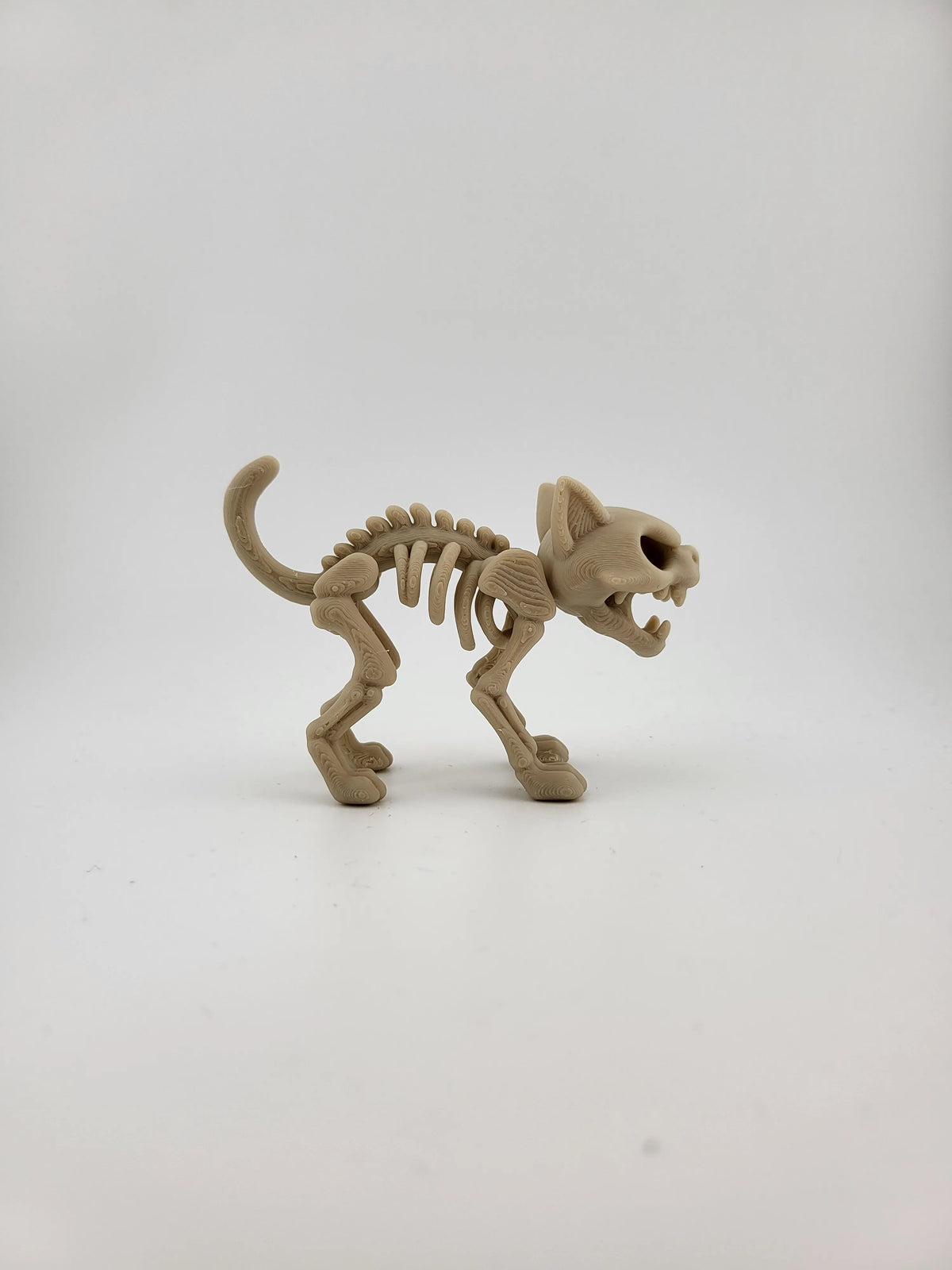 Cat Skeleton Halloween – Gatto Scheletro Decorativo Stampato in 3D