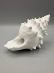 Conchiglia Decorativa con Nascondiglio Interno – Rifugio per Acquari e Terrari, Stampato in 3D