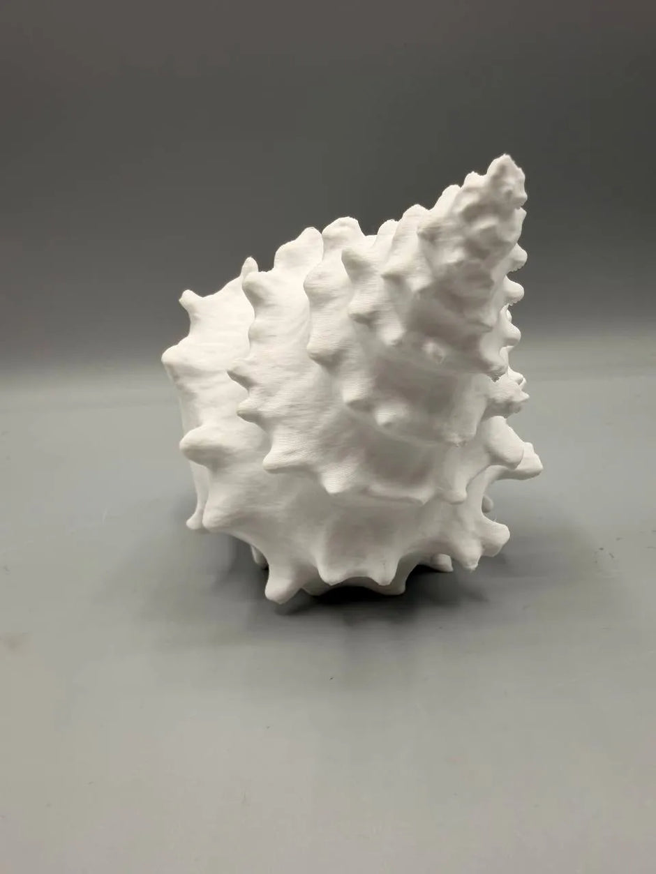 Conchiglia Decorativa con Nascondiglio Interno – Rifugio per Acquari e Terrari, Stampato in 3D