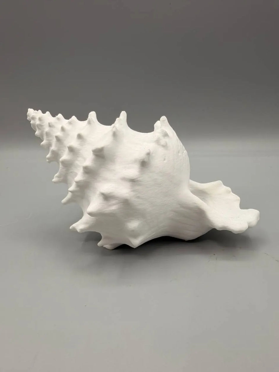 Conchiglia Decorativa con Nascondiglio Interno – Rifugio per Acquari e Terrari, Stampato in 3D