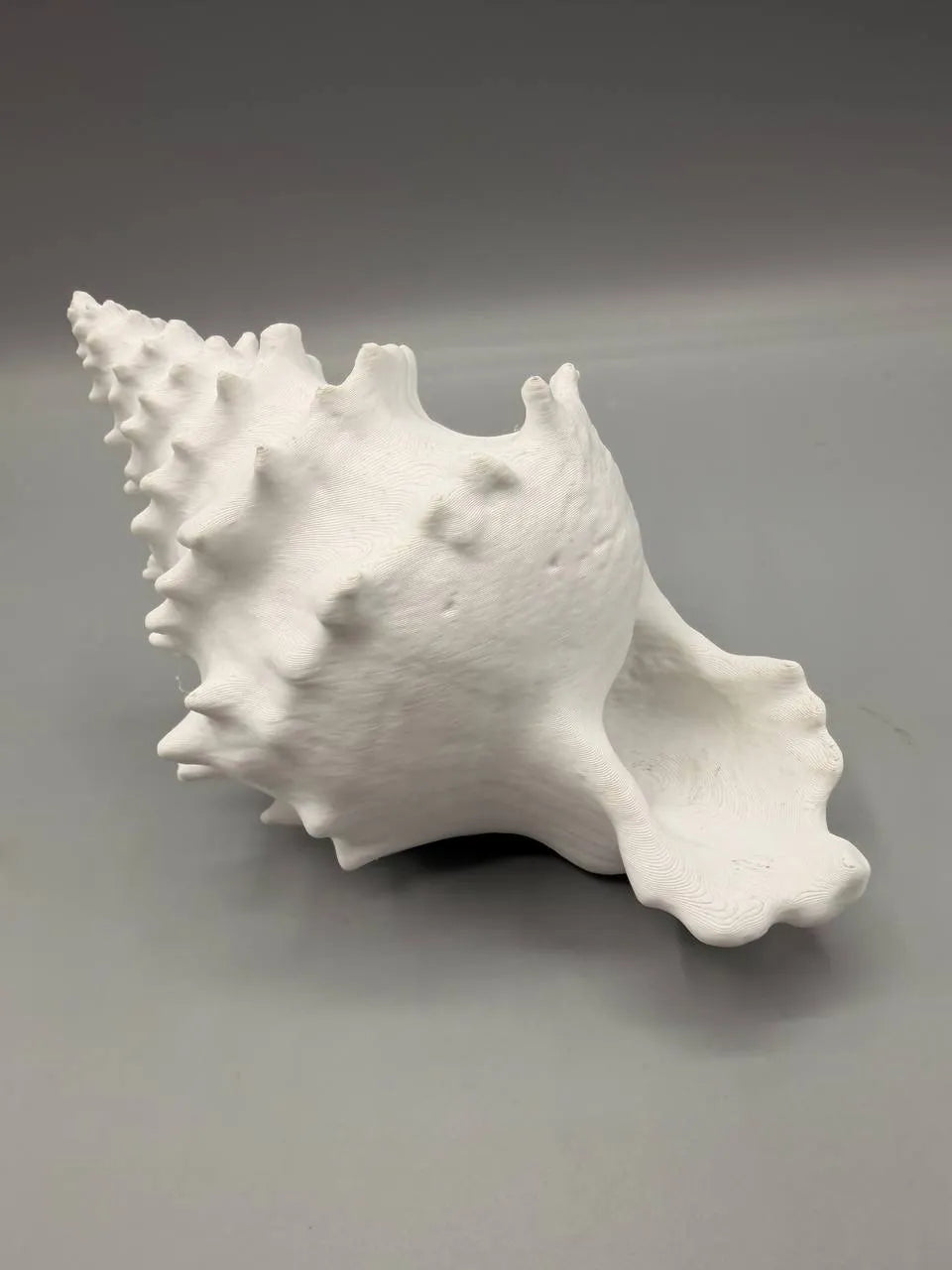 Conchiglia Decorativa con Nascondiglio Interno – Rifugio per Acquari e Terrari, Stampato in 3D