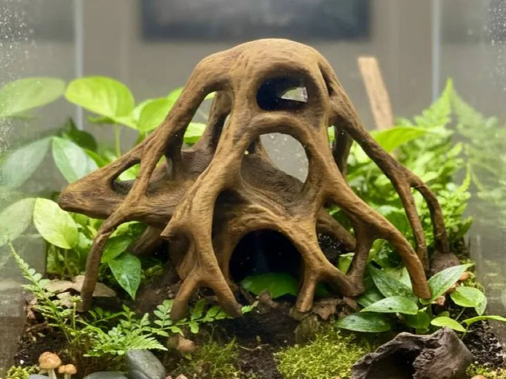 Ampia Radice di Mangrovia – Decorazione 3D per Acquari e Terrari