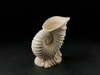 Vaso Nautilus in Stampa 3D – Elegante Fioriera a Forma di Conchiglia