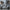 Quadro 3D Gizmo (Gremlins)- Stampa 3D alta definizione