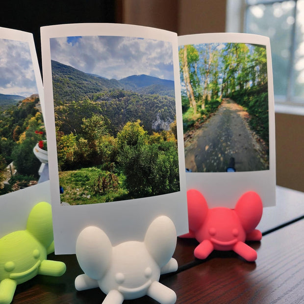 Portafoto Polaroid Mini – Supporto colorato in stile kawaii