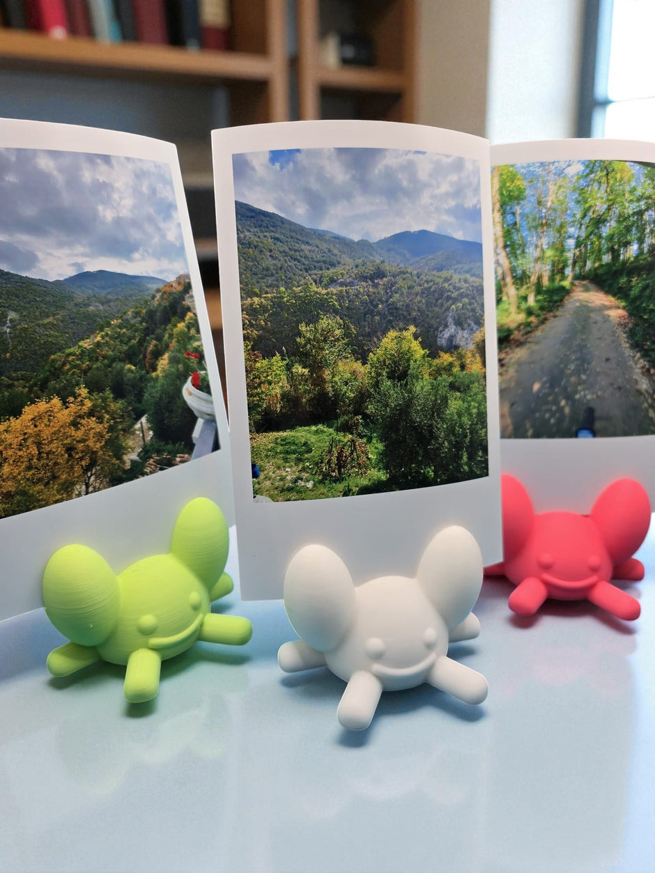 Portafoto Polaroid Mini – Supporto colorato in stile kawaii