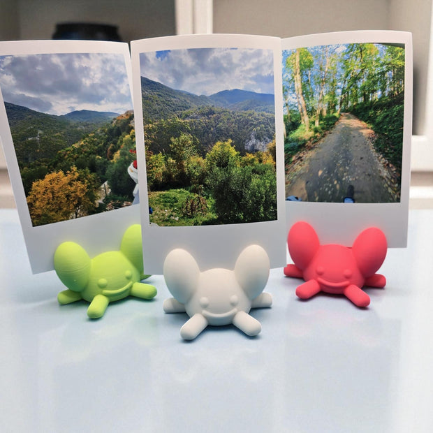 Portafoto Polaroid Mini – Supporto colorato in stile kawaii