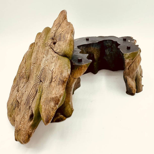 Rifugio Terrario Radice Naturale – novYTerra