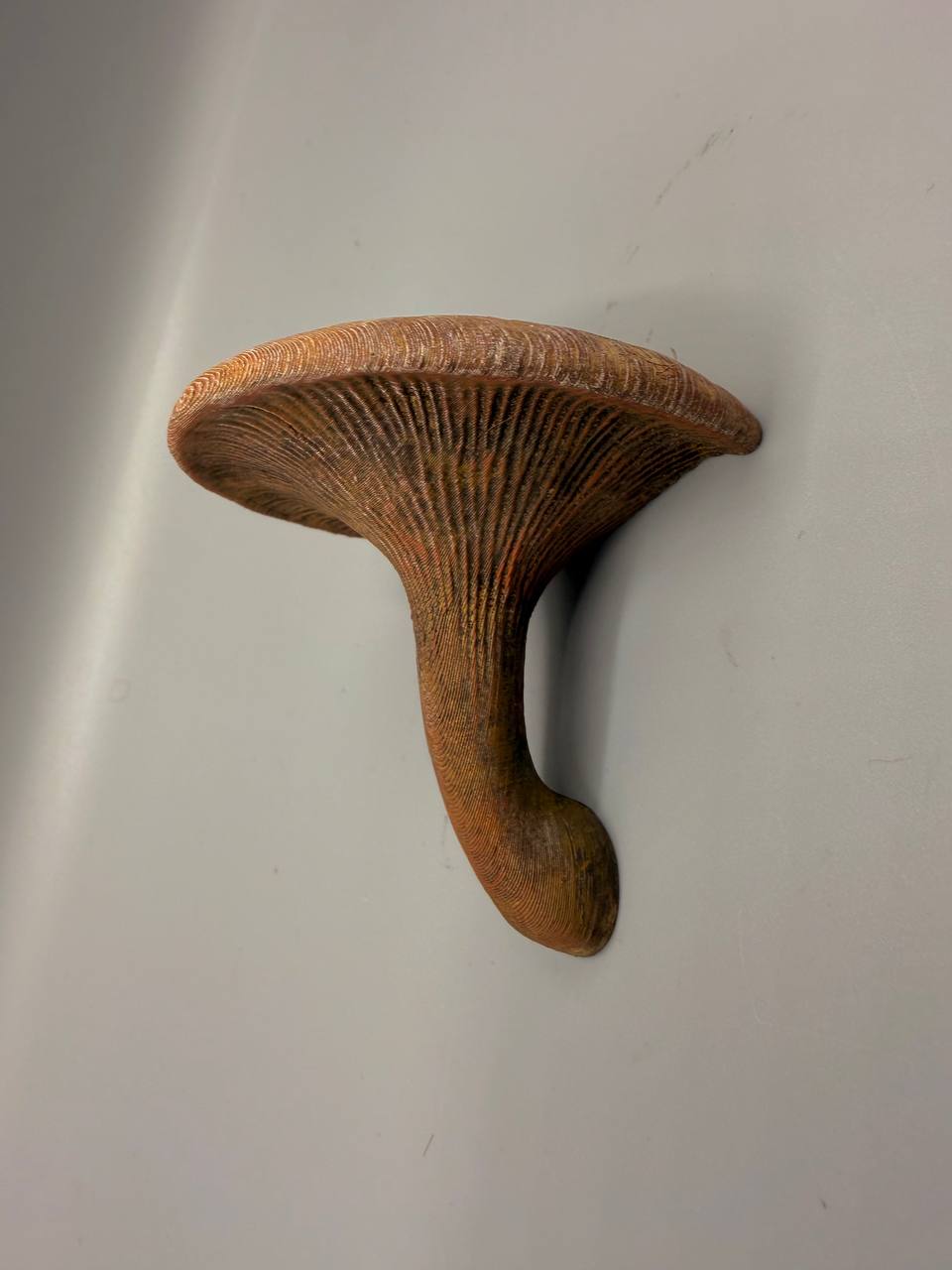 Decorazione per terrario a fungo – novYTerra