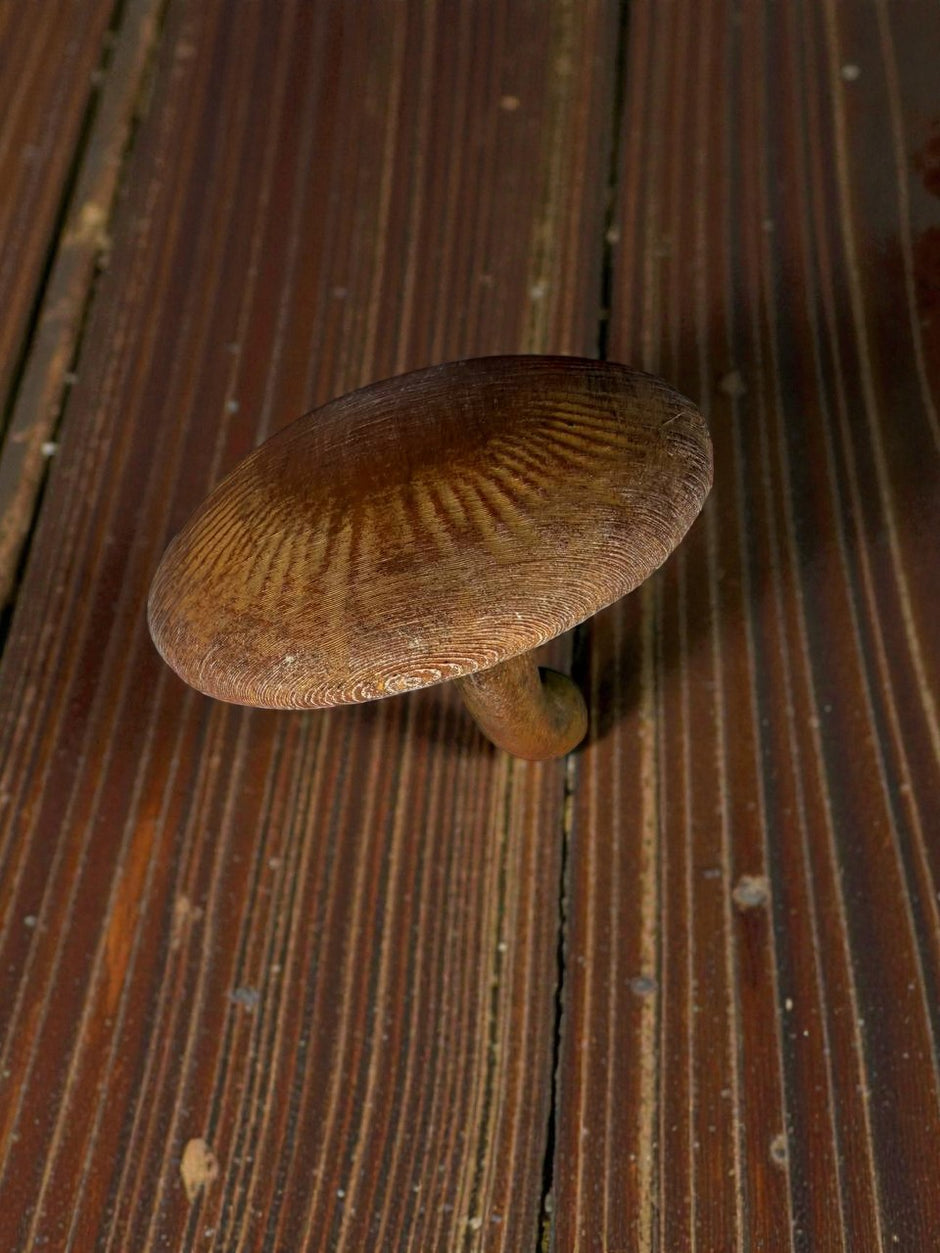 Decorazione per terrario a fungo – novYTerra