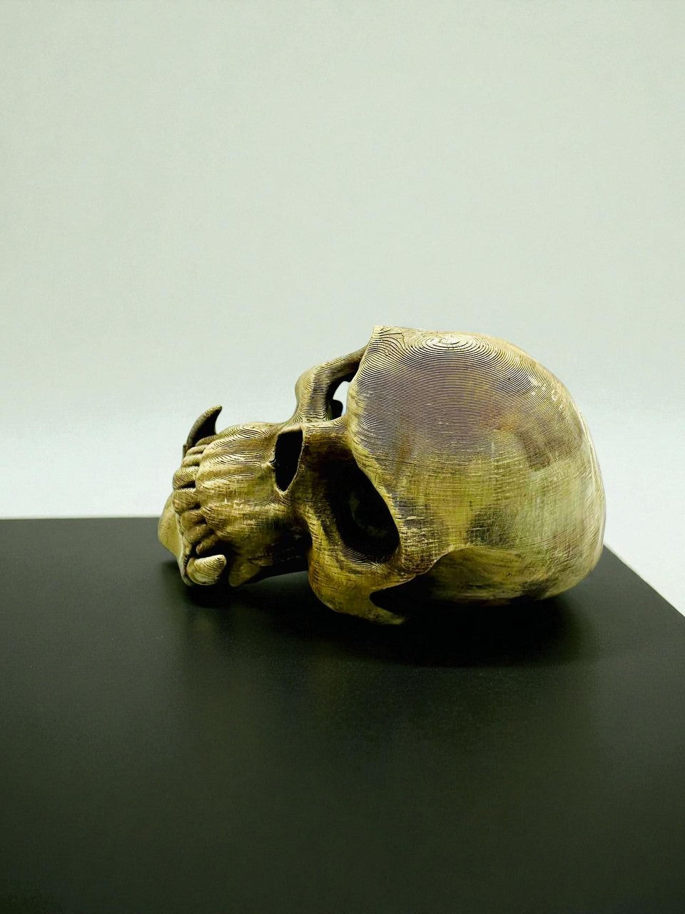 Tana Decorativa a Forma di Teschio – novYTerra