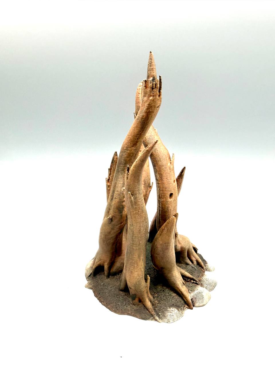 Radici Naturali per Terrario – Rifugio 3D Decorativo per Rettili e Anfibi