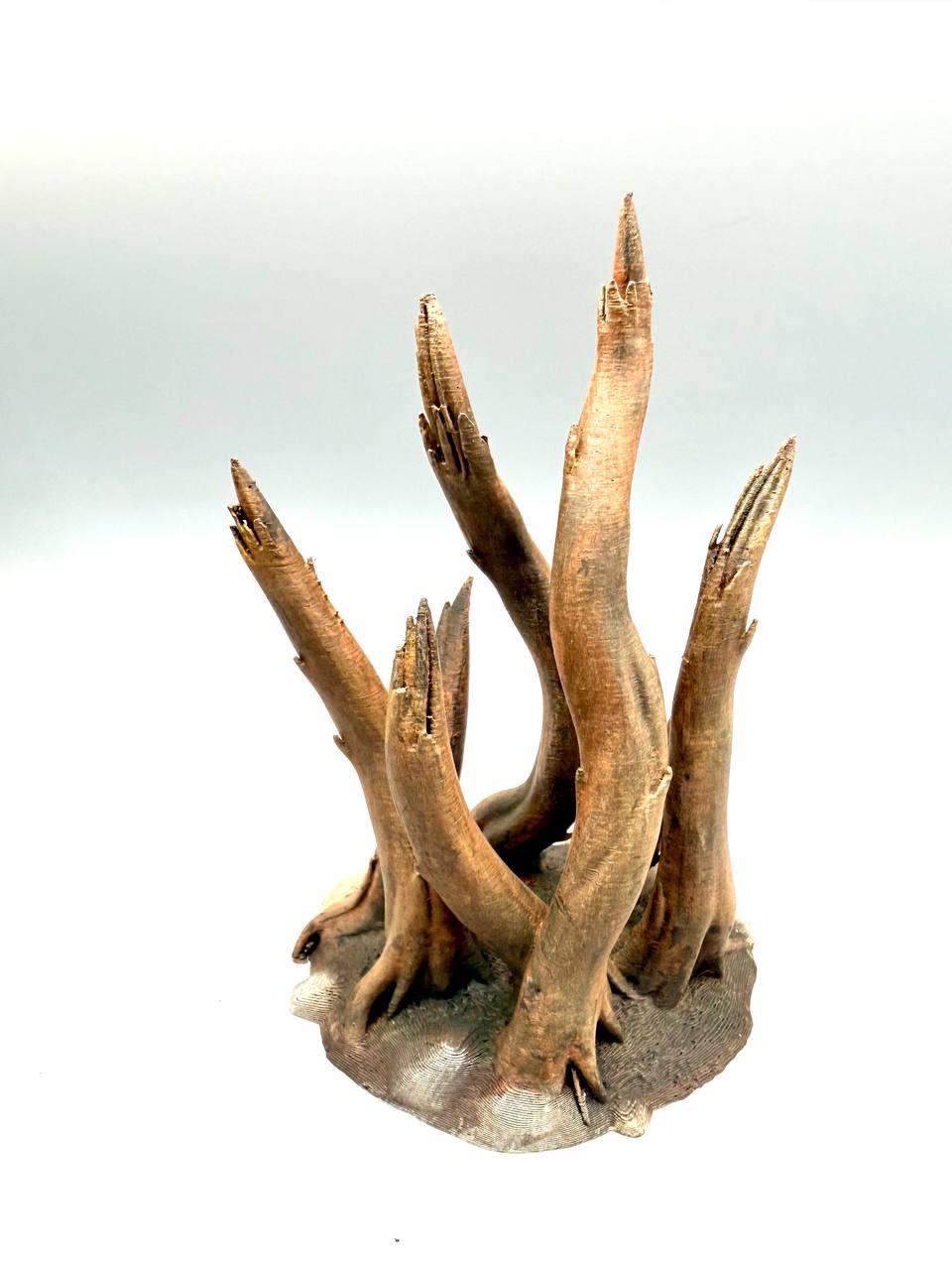 Radici Naturali per Terrario – Rifugio 3D Decorativo per Rettili e Anfibi