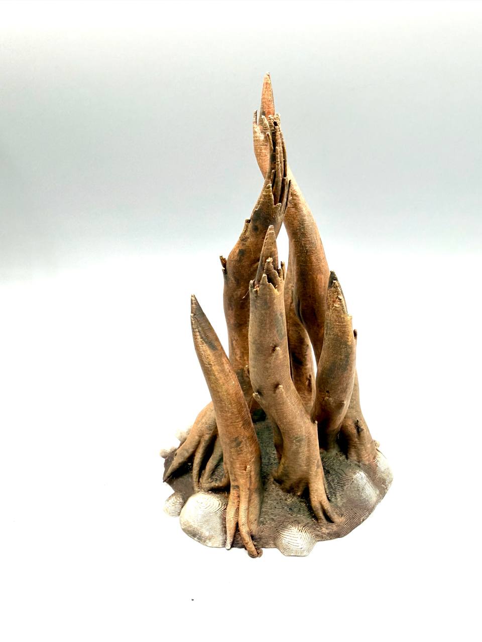 Radici Naturali per Terrario – Rifugio 3D Decorativo per Rettili e Anfibi