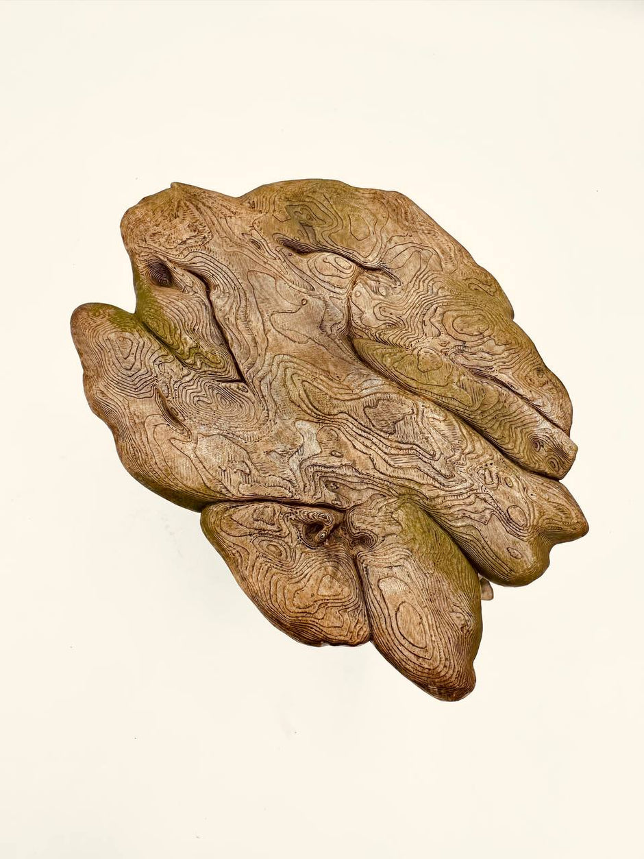 Rifugio Terrario Radice Naturale – novYTerra