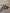 Quadro 3D – Deadpool & Wolverine Tribute