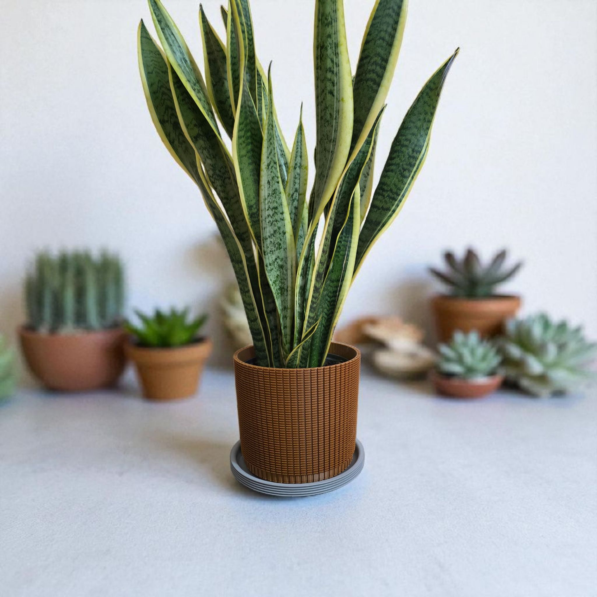 Coprivaso design moderno in PETG con fondo drenante – colore terracotta