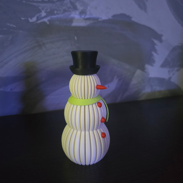 Pupazzo di Neve Stiloso e di design