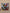 Quadro 3D – Deadpool & Wolverine Tribute
