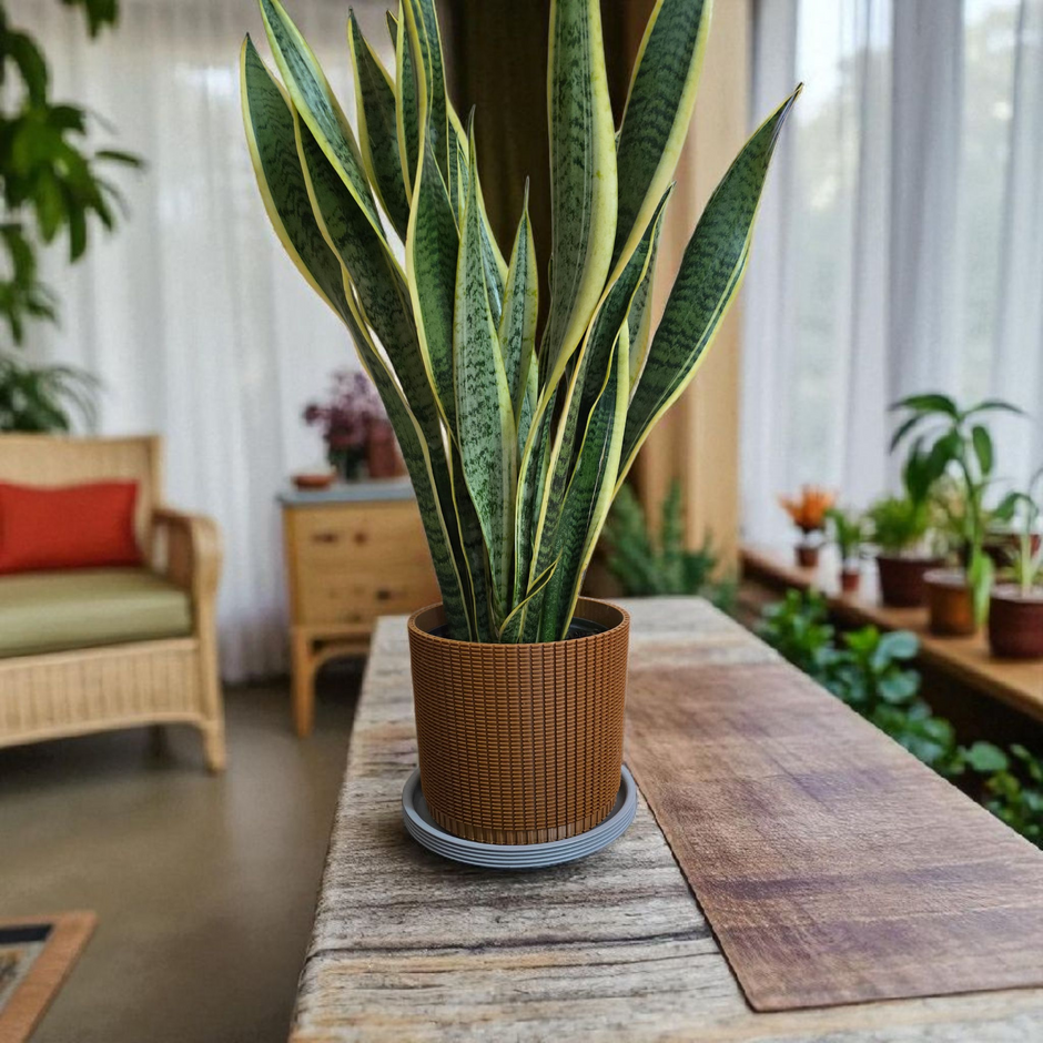 Coprivaso design moderno in PETG con fondo drenante – colore terracotta