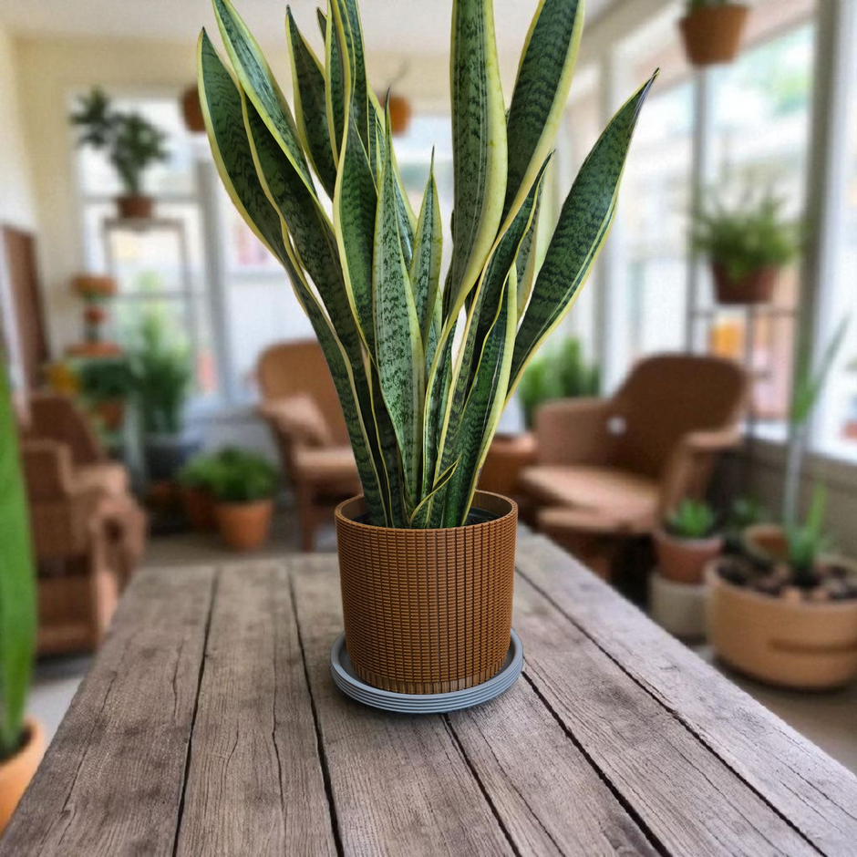 Coprivaso design moderno in PETG con fondo drenante – colore terracotta