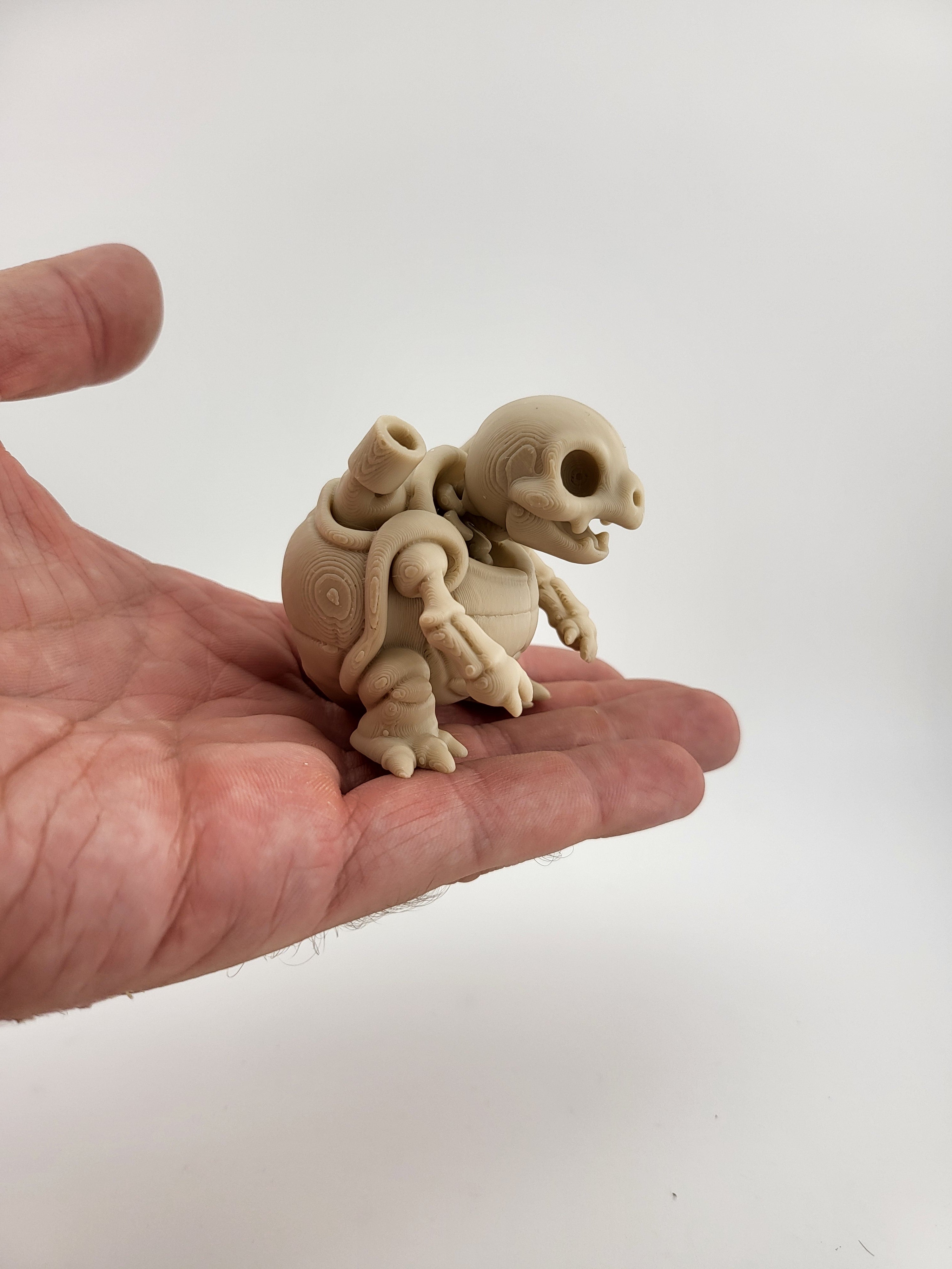 Miniatura 3D Tartaruga Scheletro – Design Unico