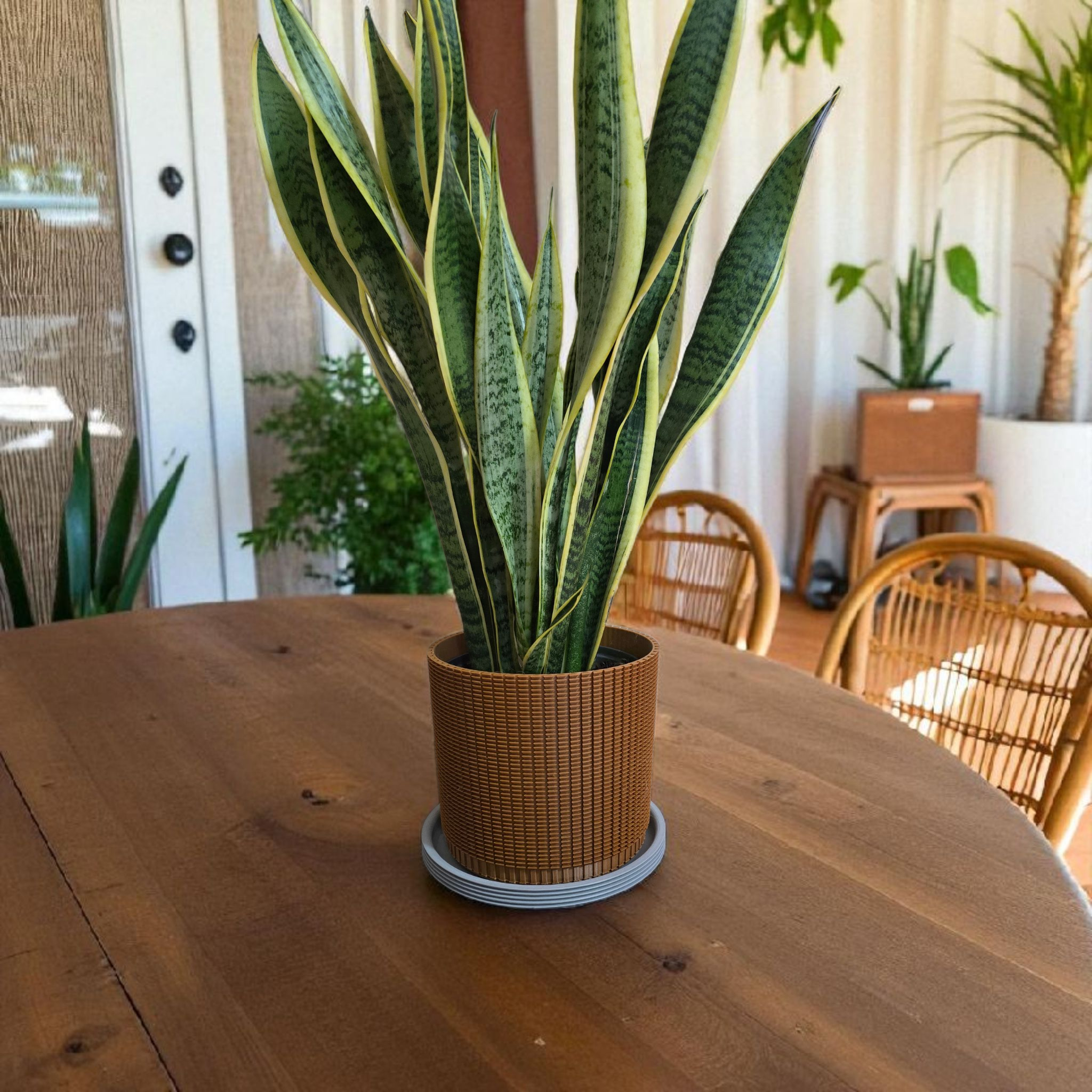 Coprivaso design moderno in PETG con fondo drenante – colore terracotta