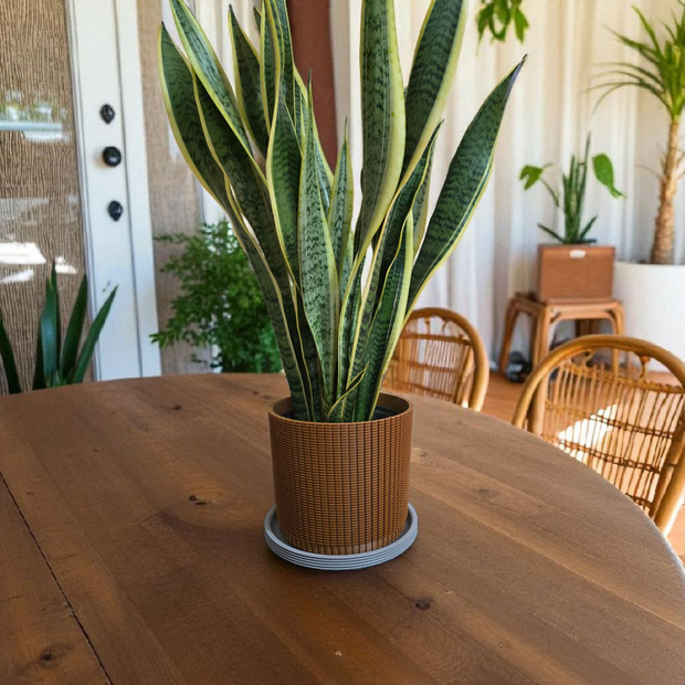 Coprivaso design moderno in PETG con fondo drenante – colore terracotta